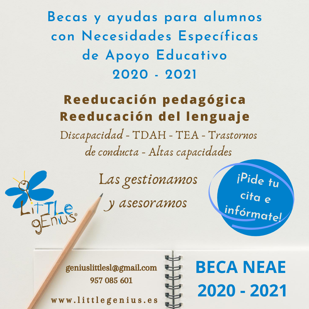 Becas NEAE 2020 2021. Solicita tu
